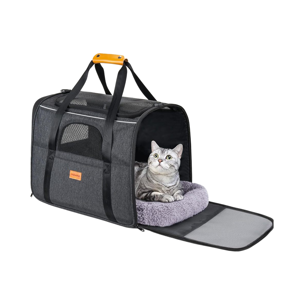 Travel & Accessories